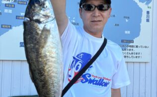 アジ47cm