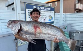 オオニベ釣果