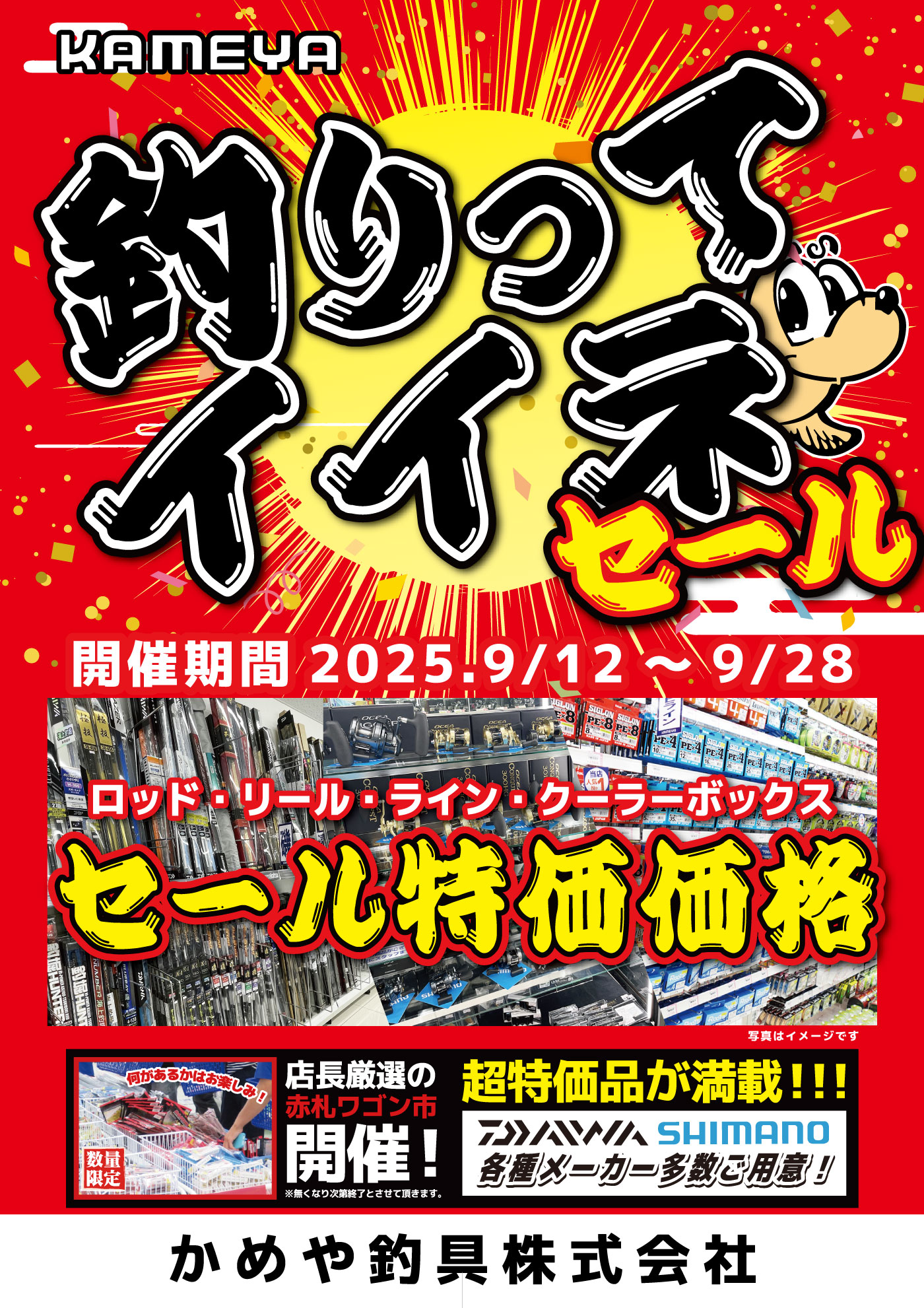 お得情報🎣ベイサイドビーチ坂釣り解禁情報】 | かめや釣具
