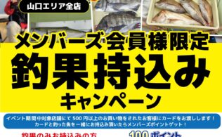 サビキ釣りで大漁(≧▽≦)