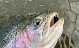 フィッシャーリゾート庄原爆釣！