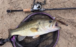 白竜湖　ブラックバス