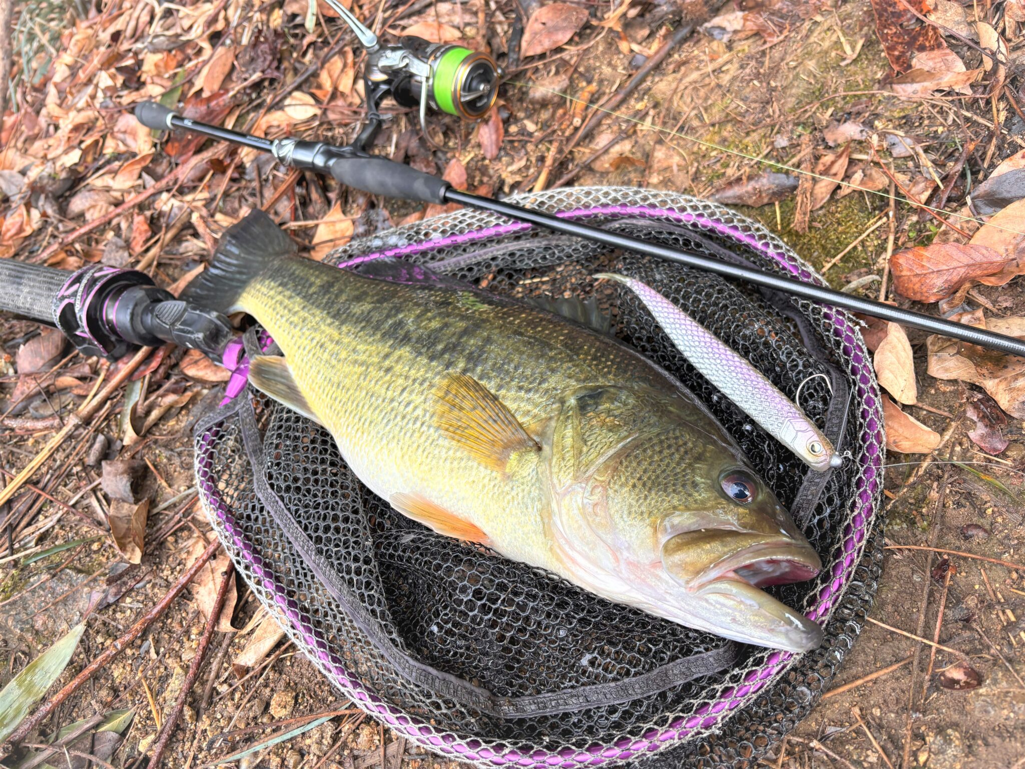 白竜湖 ブラックバス | かめや釣具