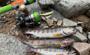 人生初渓流釣り！！