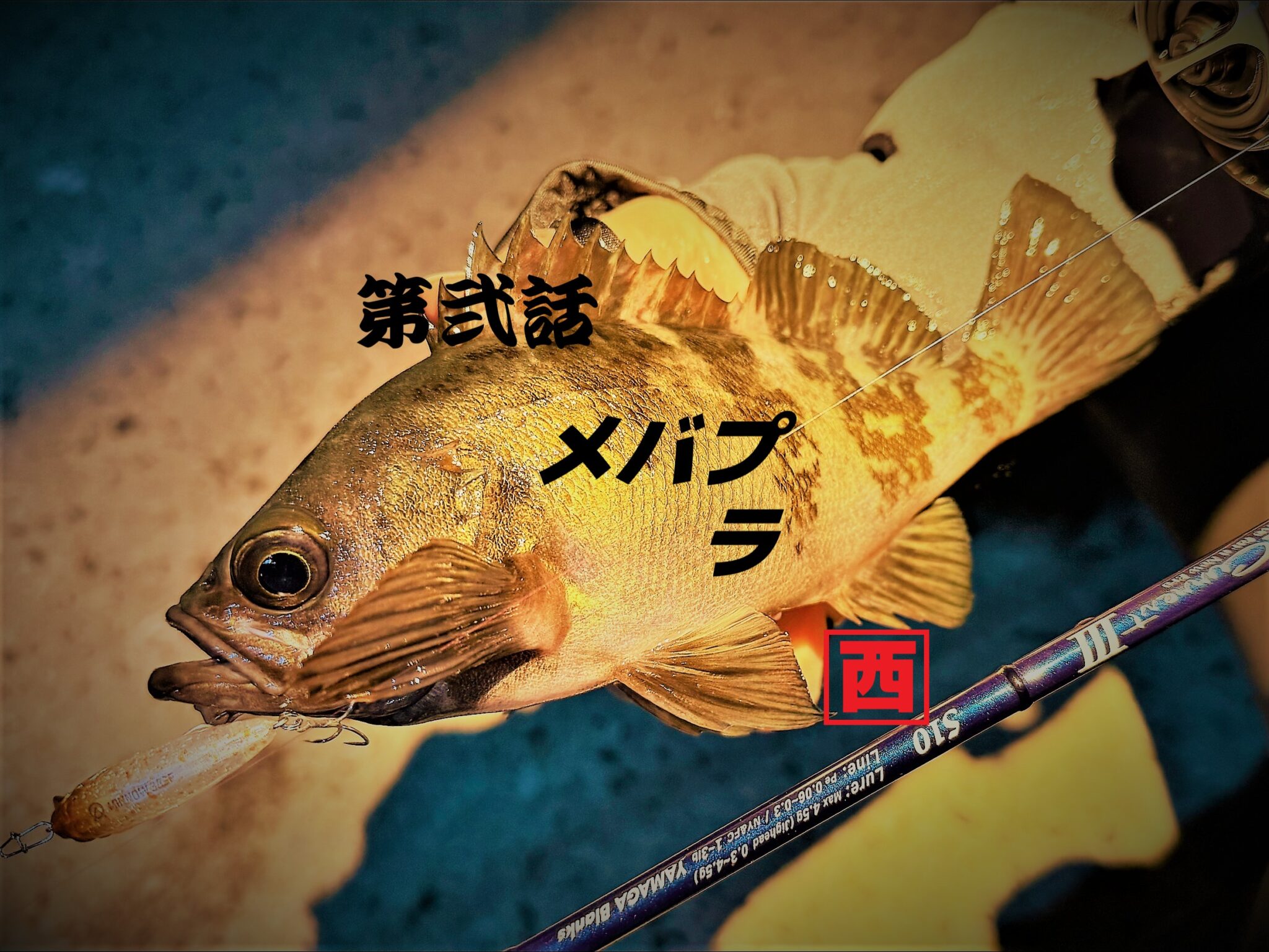 メバルプラッキング メバル ジャッカル 周防大島 上関 | かめや釣具