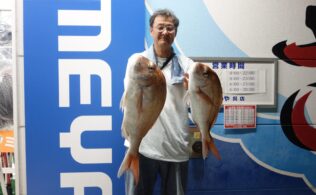 釣果情報🐟マダイ🐟