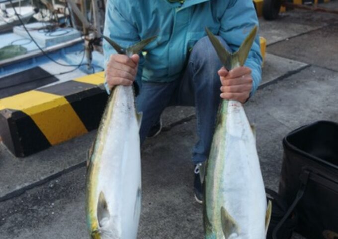 高松屋島沖のコノシロ呑ませ釣りで良型ハマチ！