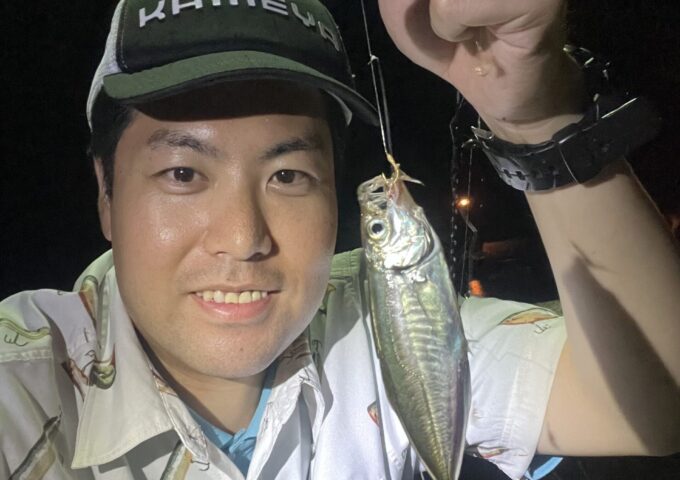 豆アジ釣れてます❤
