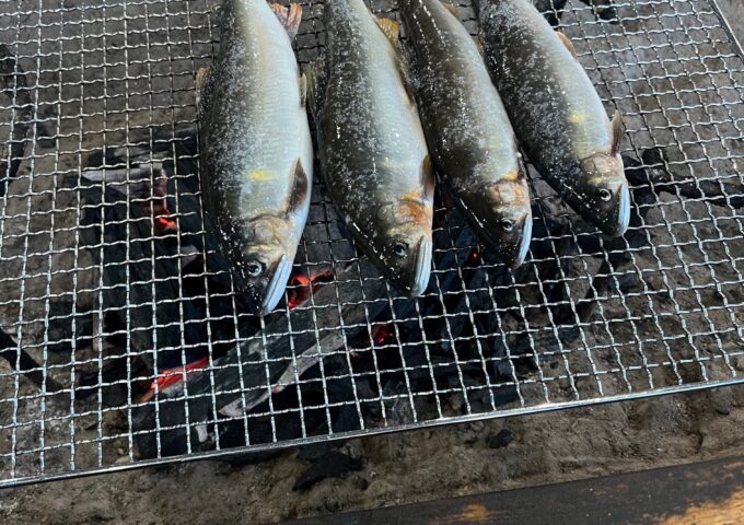 尺鮎を求めて