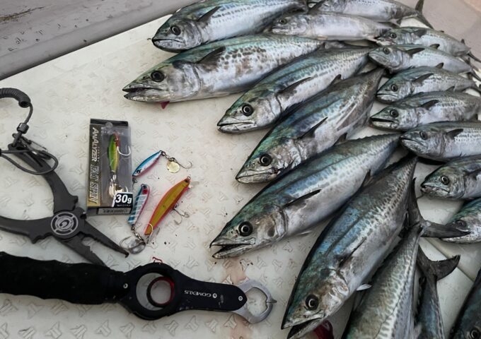 遊漁船「ワンピース」様でサワラキャスティング！