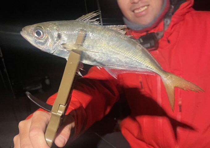 淡路島アジング♪