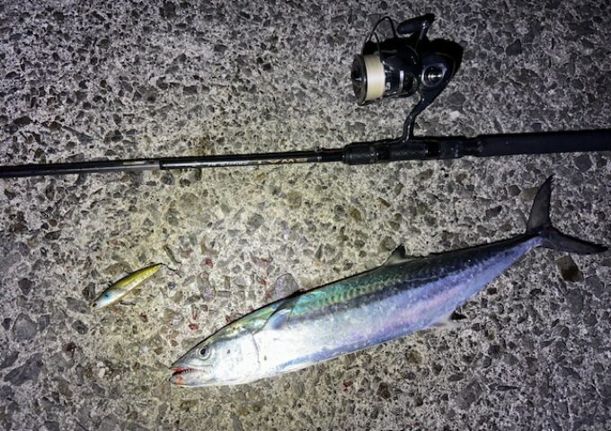 ショアジギング