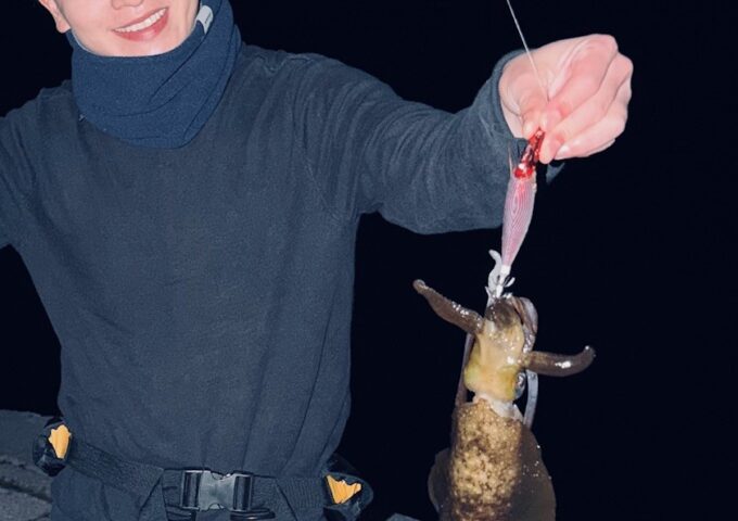 冬のアオリイカ