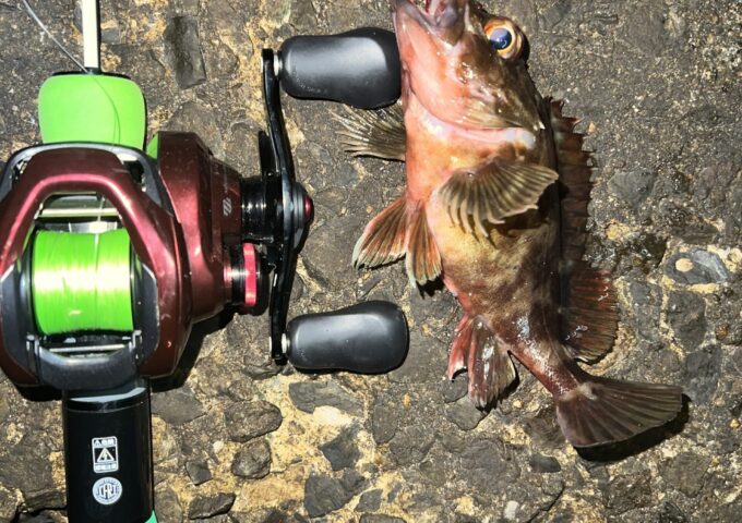 簡単！！でも意外と奥が深い！？穴釣り🎣