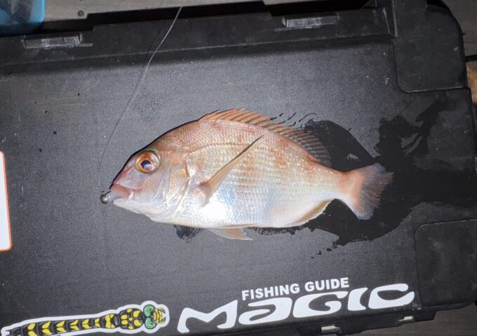 高松周辺でライトゲーム