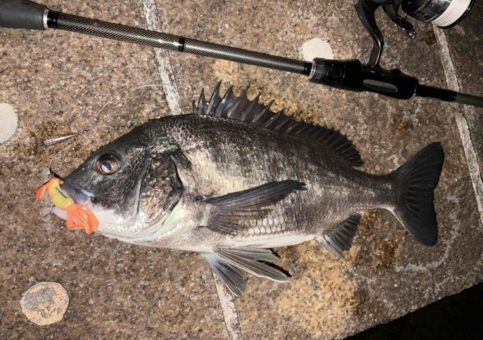 寒くても何かいる？