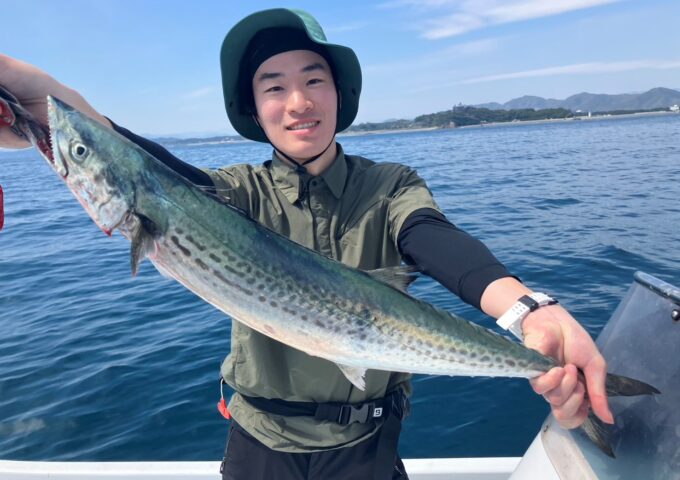 サゴシ、サワラ