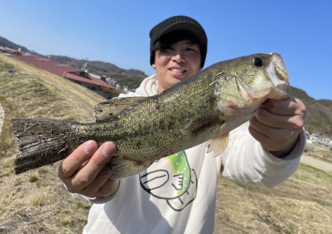 ブラックバス好調！