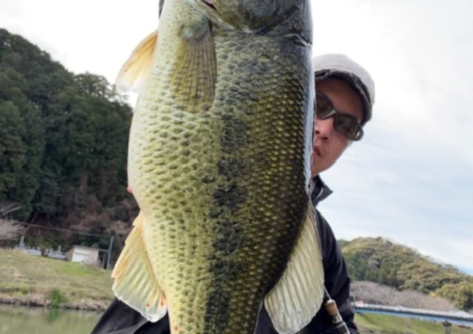 波介川バス釣り！プリスポーン本格化！