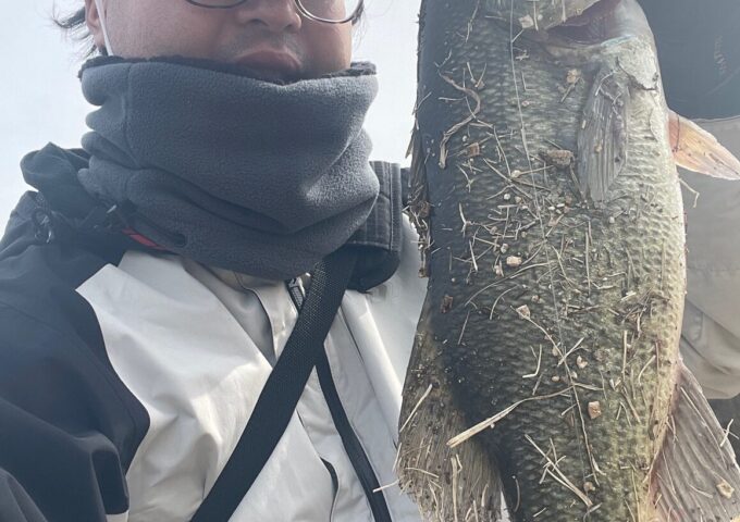 ブラックバス釣れてます！