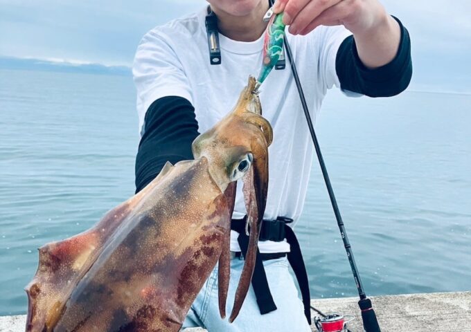 春アオリイカ開幕してます！！