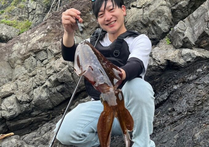 春アオリイカ好調です！！
