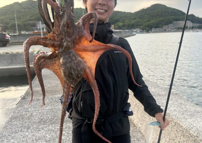 マダコ調査開始！