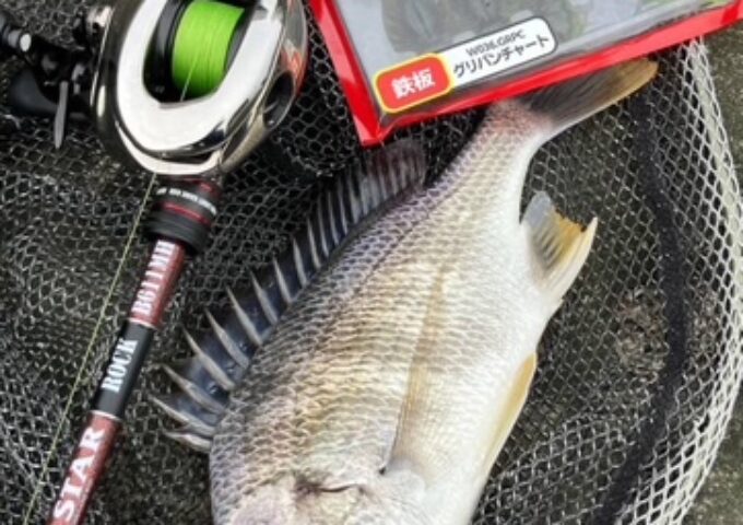 チニング釣れてます！