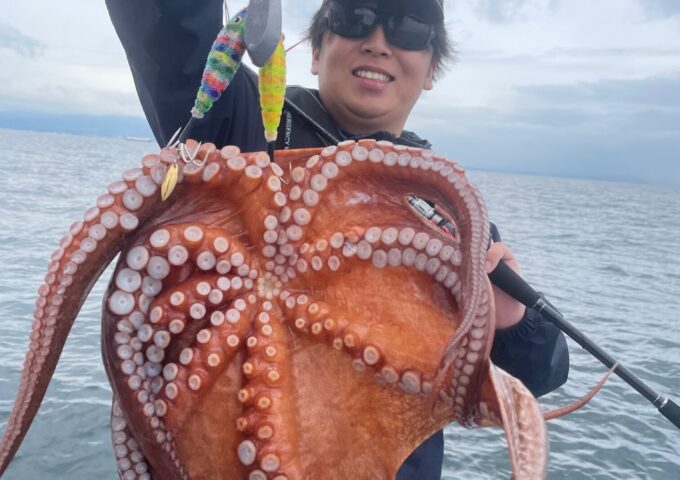 マダコ釣れてます！