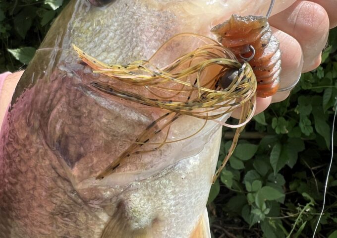 日中の暑さにご用心！バス釣り🎣