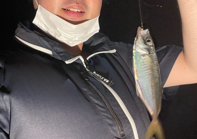 アジ！釣れてます！！