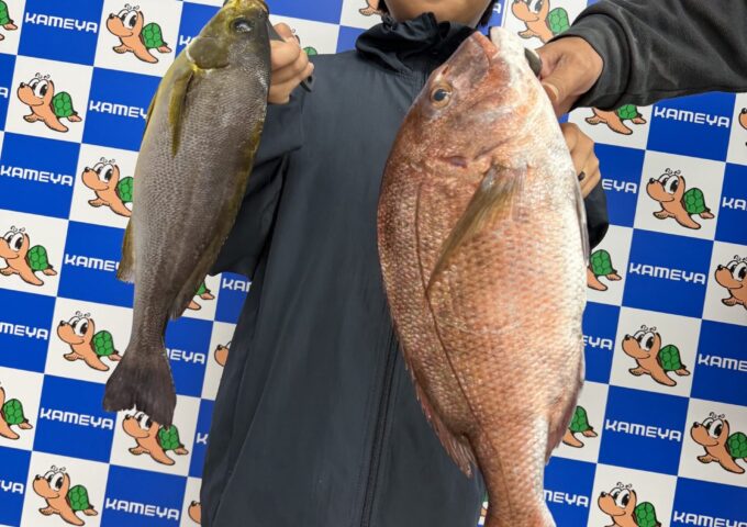 お客様より釣果のお持ち込みを頂きました！