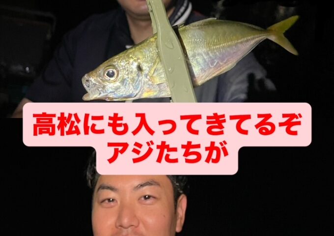 アジ釣れてます！